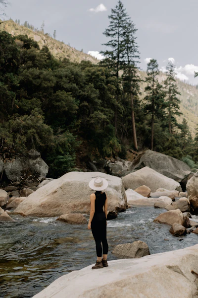 What are the five rules of resilience?